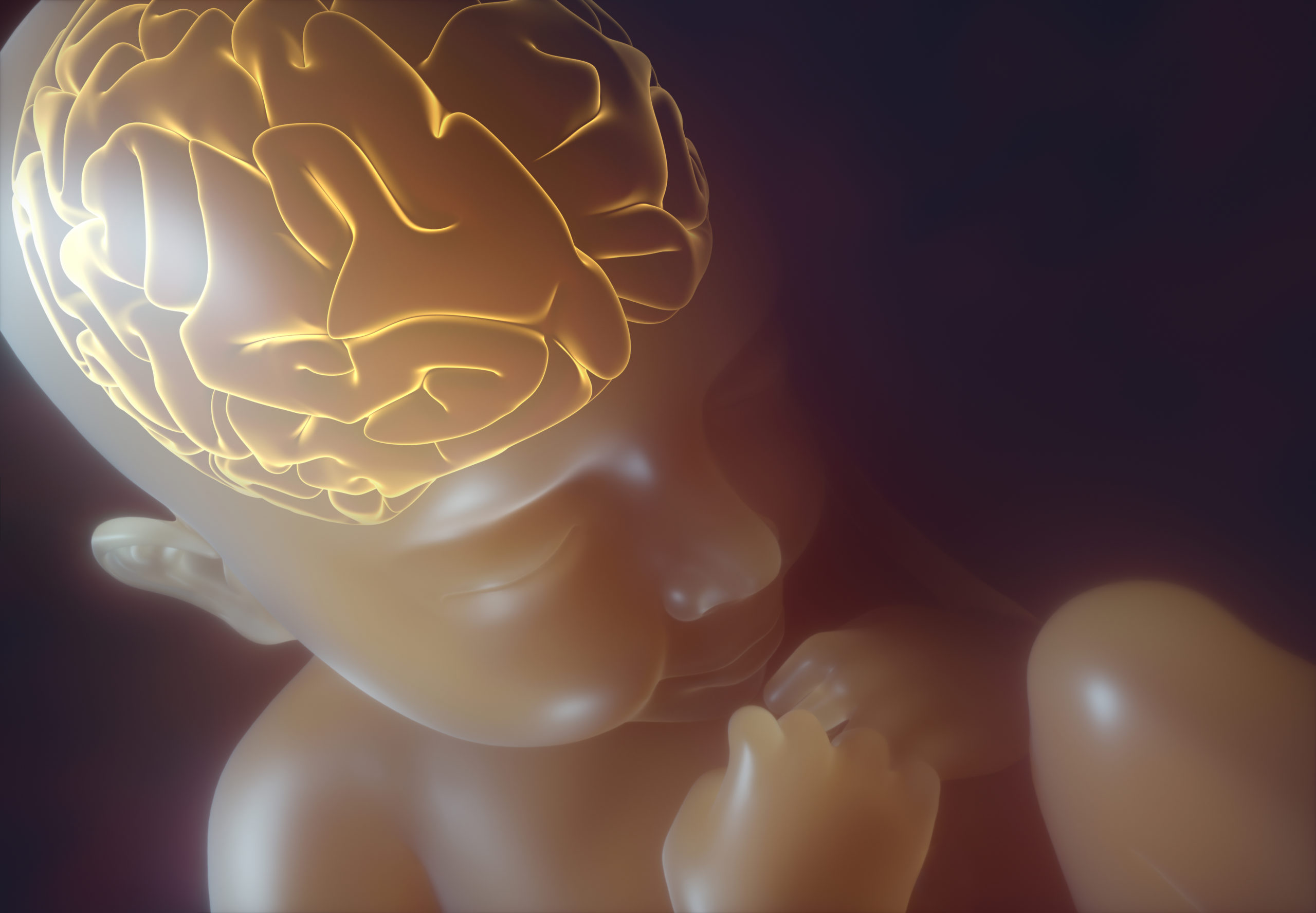 3D illustration. Image of a baby inside the womb.