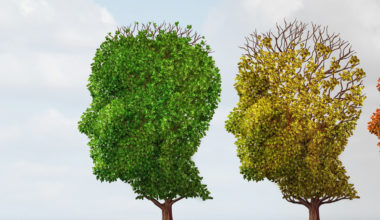 Dementia treatment and Alzheimer brain memory disease therapy concept as old trees recovering as a neurology or psychology cure metaphor with 3D illustration elements.