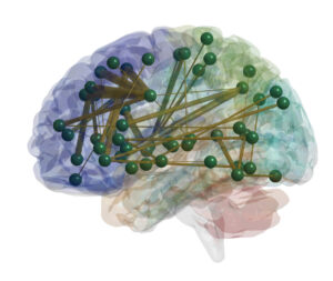 Image of the brain showing different areas that are activated during rTMS treatment for depression.
